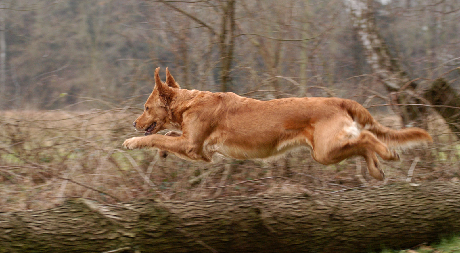 Arbeit ist ihre Passion